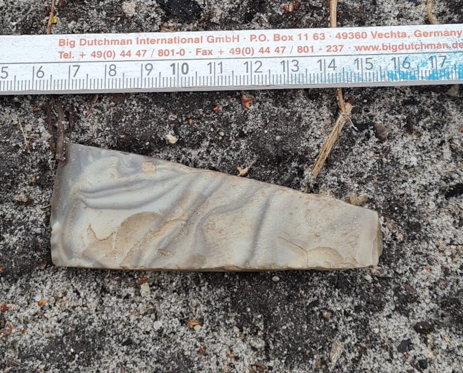 Zaskakujące znalezisko w gminie Księżpol (FOTO) - Zdjęcie główne