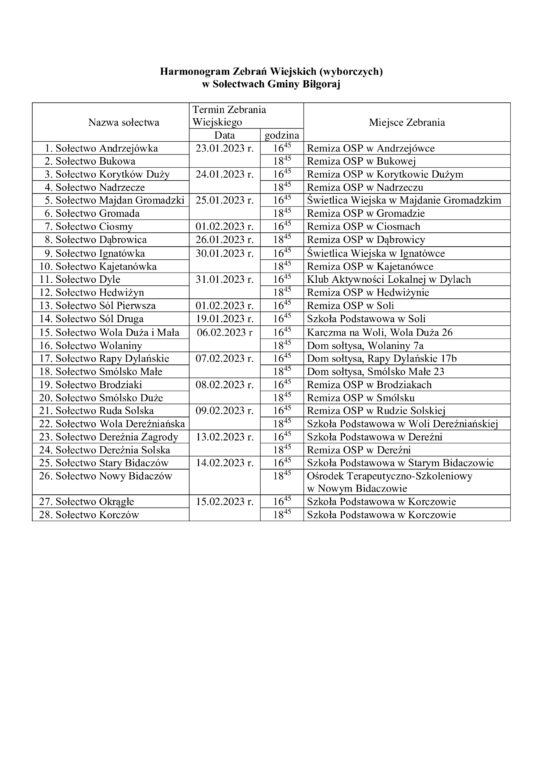 Będą wybory w gminie Biłgoraj - Zdjęcie główne