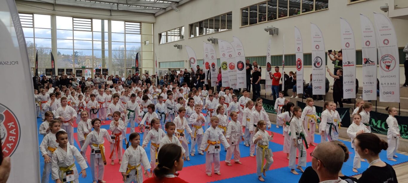 Karateka z Biłgoraja trzeci w Polsce (foto) - Zdjęcie główne