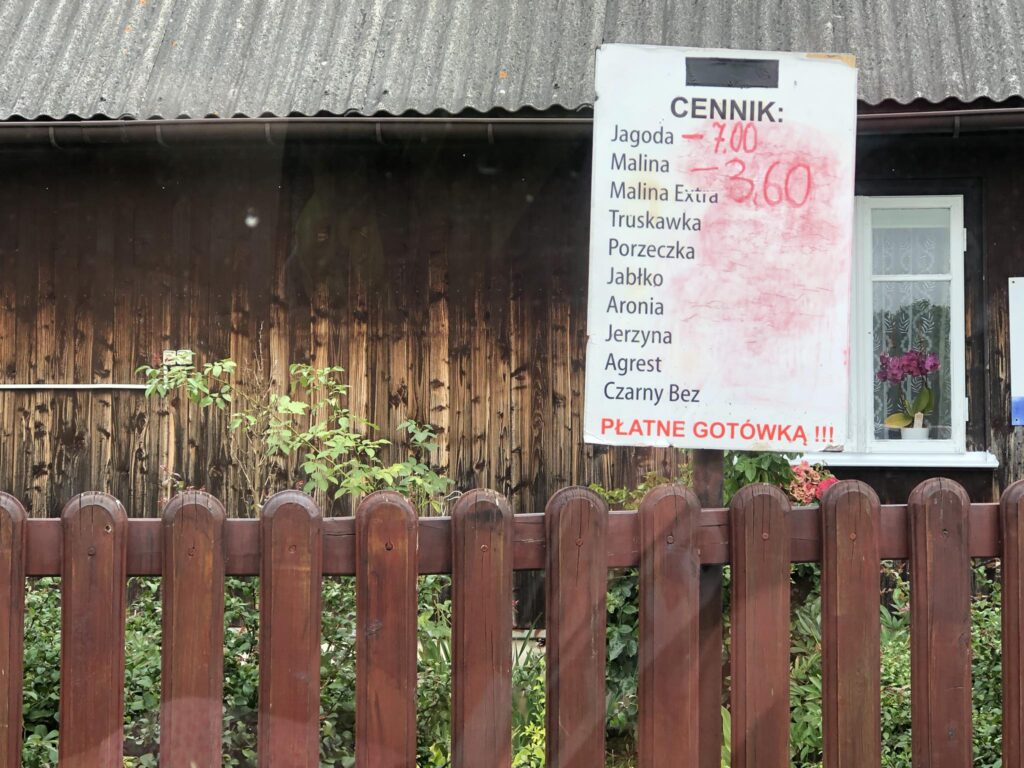 Skup trwa. Niektórzy plantatorzy nie chcą nawet zbierać (foto) - Zdjęcie główne