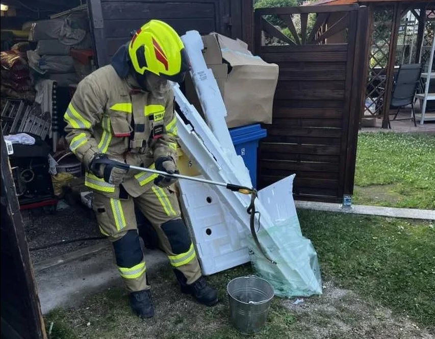 Strażacy postawieni na nogi! Sprawca wywieziony do lasu - Zdjęcie główne