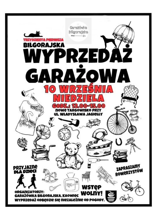 Ten pomysł Biłgoraj już kupił - Zdjęcie główne