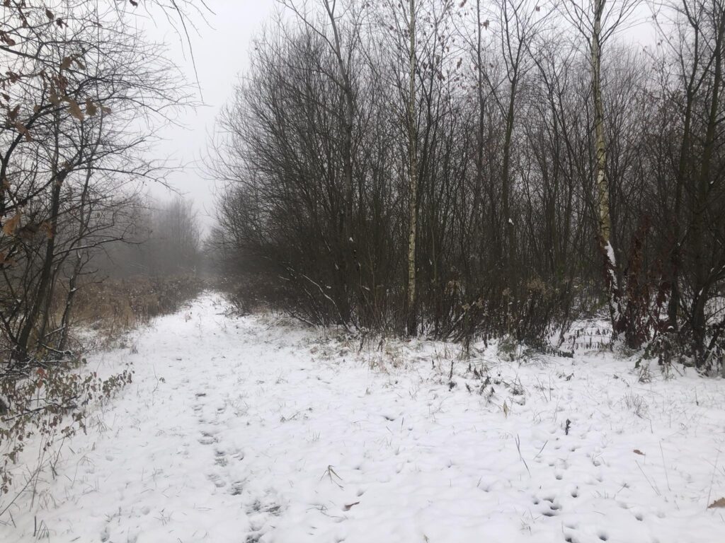 Co z tymi obiecanymi blokami w Biłgoraju?  (foto) - Zdjęcie główne