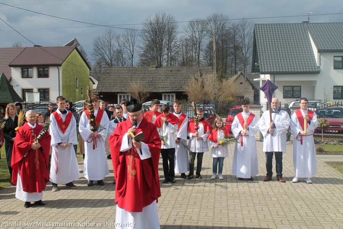 Procesje Niedzieli Palmowej w powiecie biłgorajskim  (foto) - Zdjęcie główne