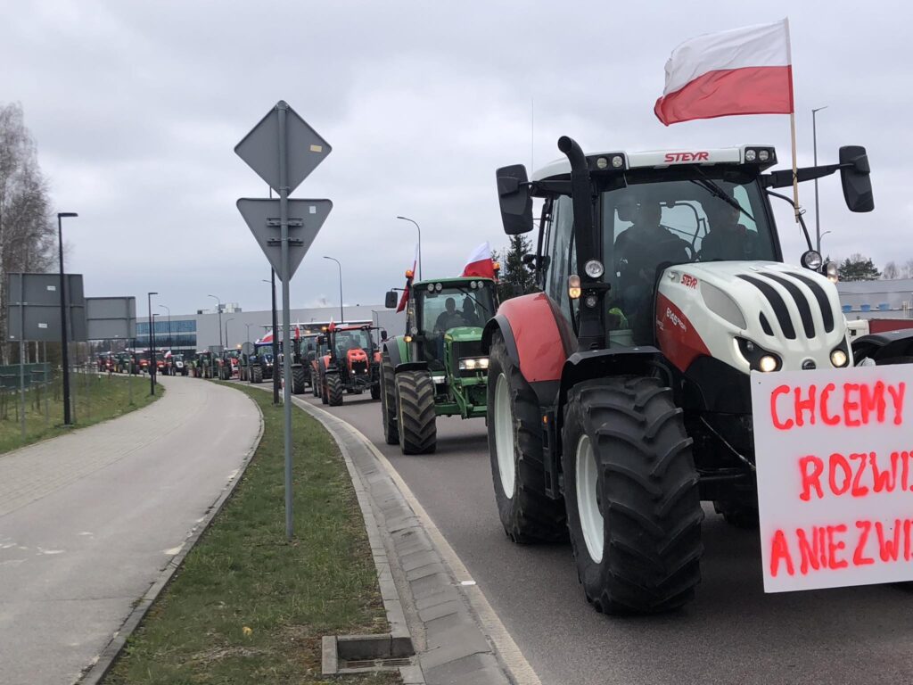 Ulica Zamojska w Biłgoraju. Mysz się nie prześlizgnie! (foto, video) - Zdjęcie główne