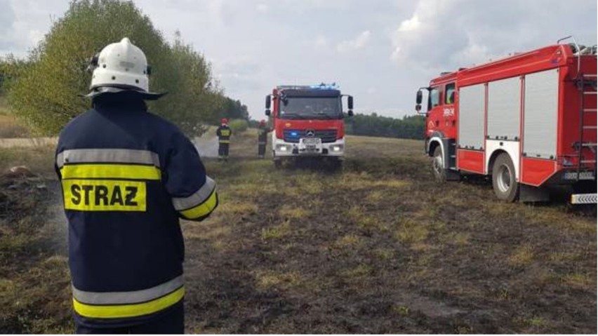 Pożar w powiecie. Straty przed weekendem - Zdjęcie główne