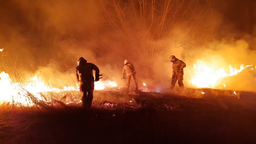 Pożar w powiecie biłgorajskim. Są straty - Zdjęcie główne