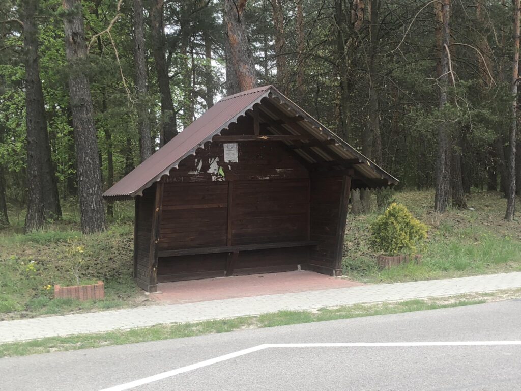 Wieś w gminie Biłgoraj jak nowa! (foto) - Zdjęcie główne