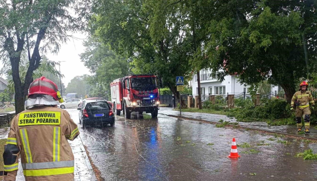 Fatalne informacje z Ziemi Biłgorajskiej - Zdjęcie główne