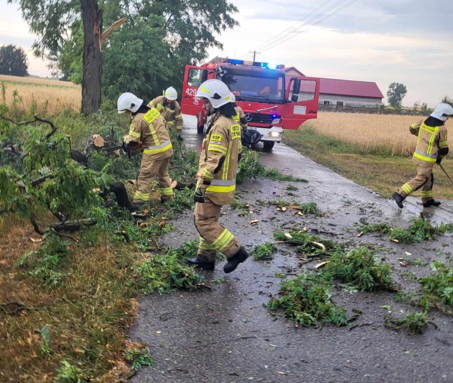 Niebezpiecznie na Ziemi Biłgorajskiej - Zdjęcie główne