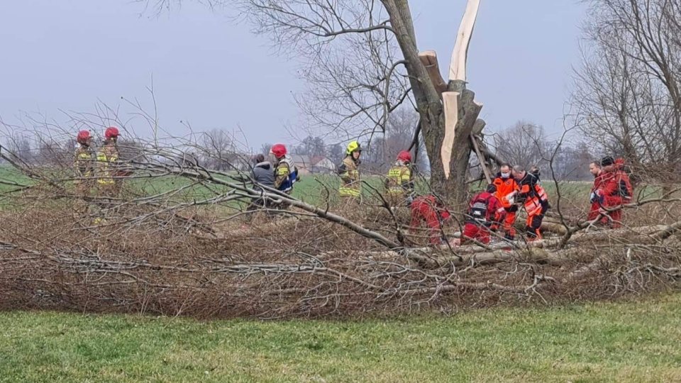 Groźny wypadek w powiecie biłgorajskim - Zdjęcie główne