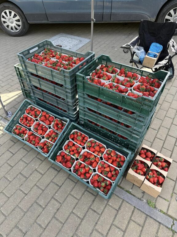 Truskawki na ulicach Biłgoraja. Sezon rozpoczęty (foto) - Zdjęcie główne