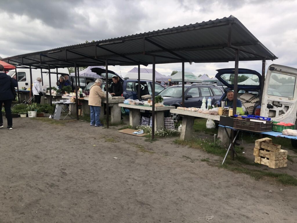 Po ile dziś  młode ziemniaki i świeże ogórki? (foto) - Zdjęcie główne