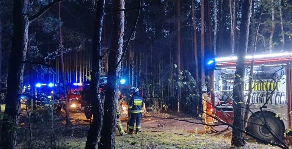 Duży pożar w powiecie biłgorajskim - Zdjęcie główne