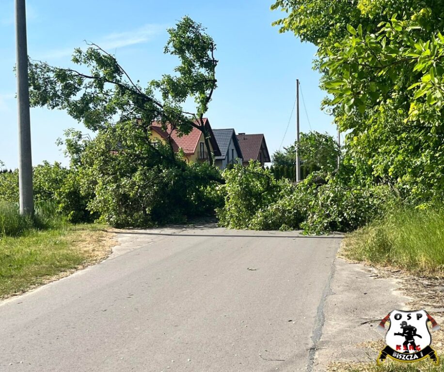 Cudem nie doszło do tragedii (foto) - Zdjęcie główne