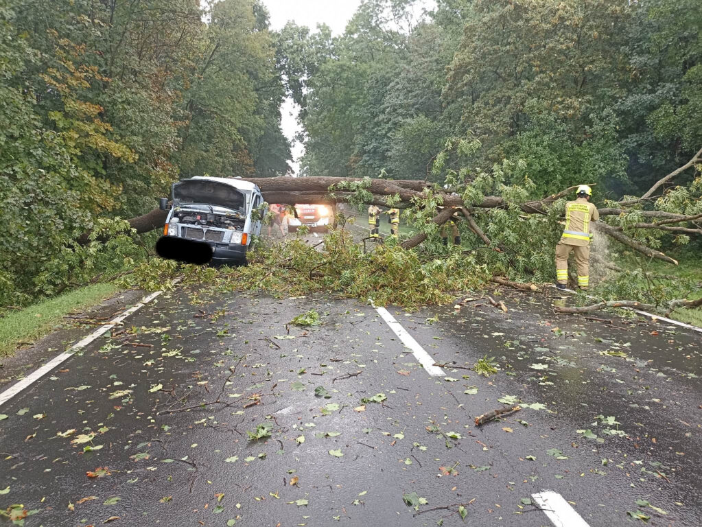 Burze w powiecie biłgorajskim - Zdjęcie główne