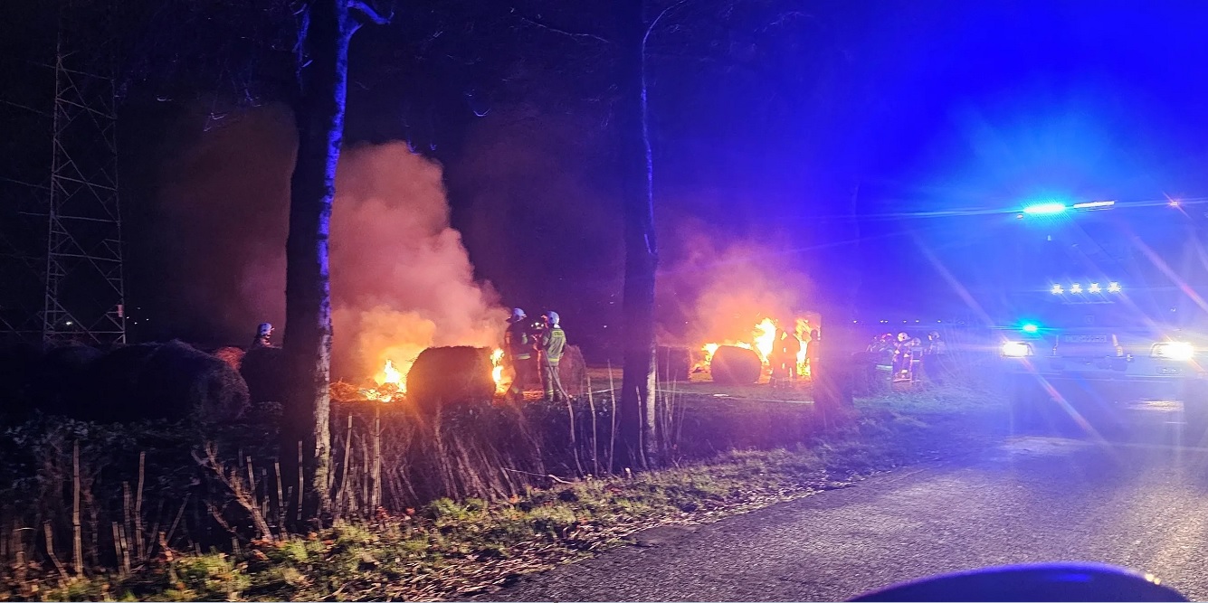 Strażacy postawieni na nogi. Płonie na Ziemi Biłgorajskiej - Zdjęcie główne