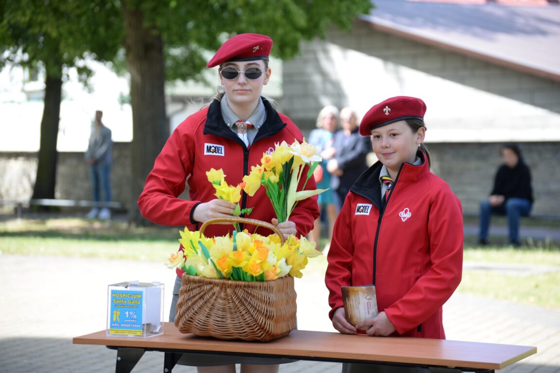 Biłgorajscy harcerze nie zawodzą  (foto) - Zdjęcie główne