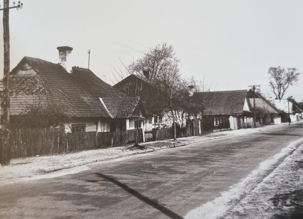 A taki Biłgoraj znacie? (foto) - Zdjęcie główne