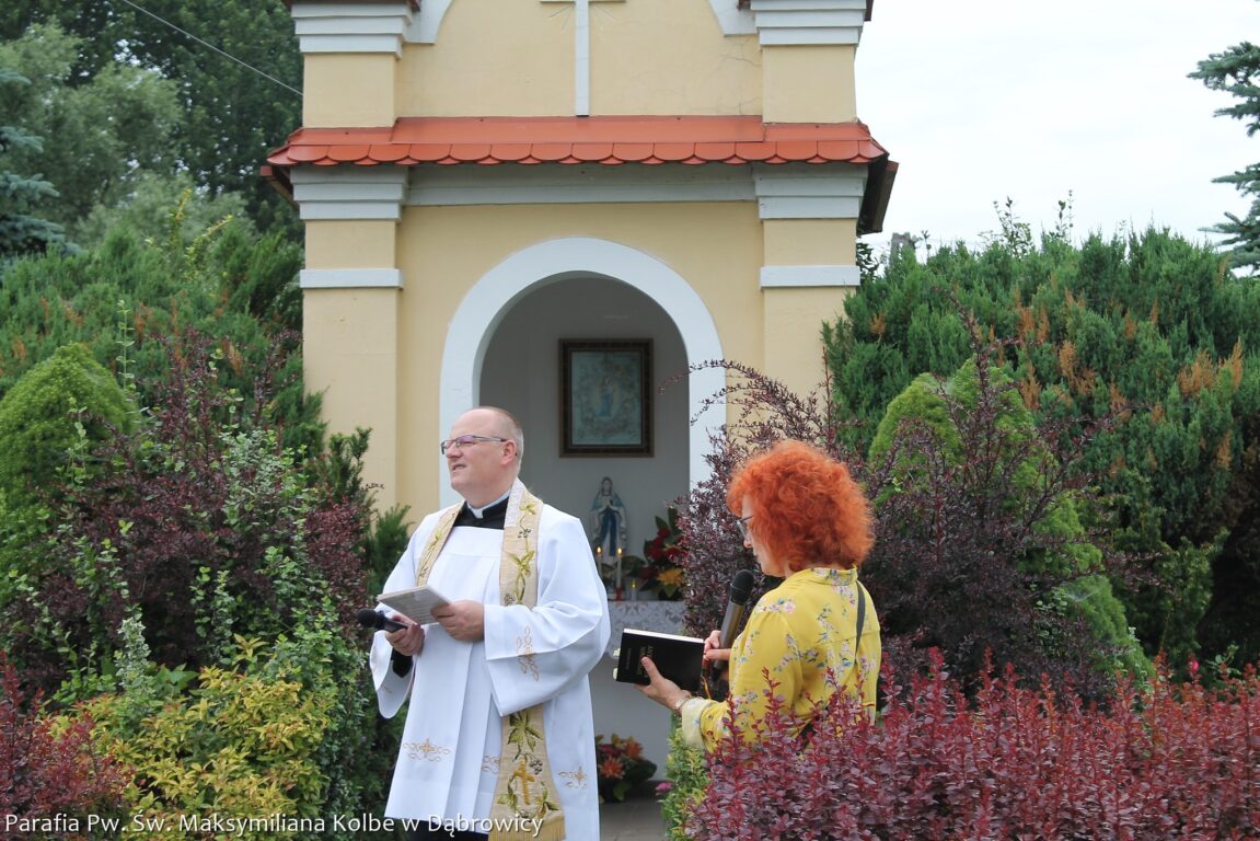 Coraz rzadszy widok z gminy Biłgoraj (foto) - Zdjęcie główne