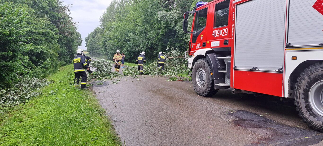 O włos od tragedii w gminie Goraj - Zdjęcie główne