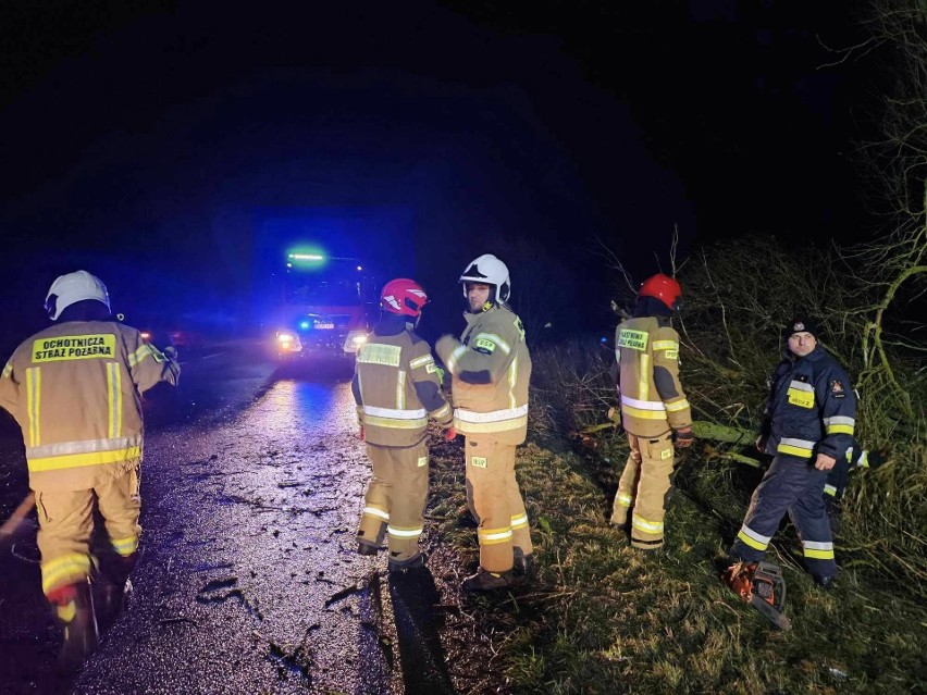 Wichura łamie drzewa w powiecie biłgorajskim - Zdjęcie główne