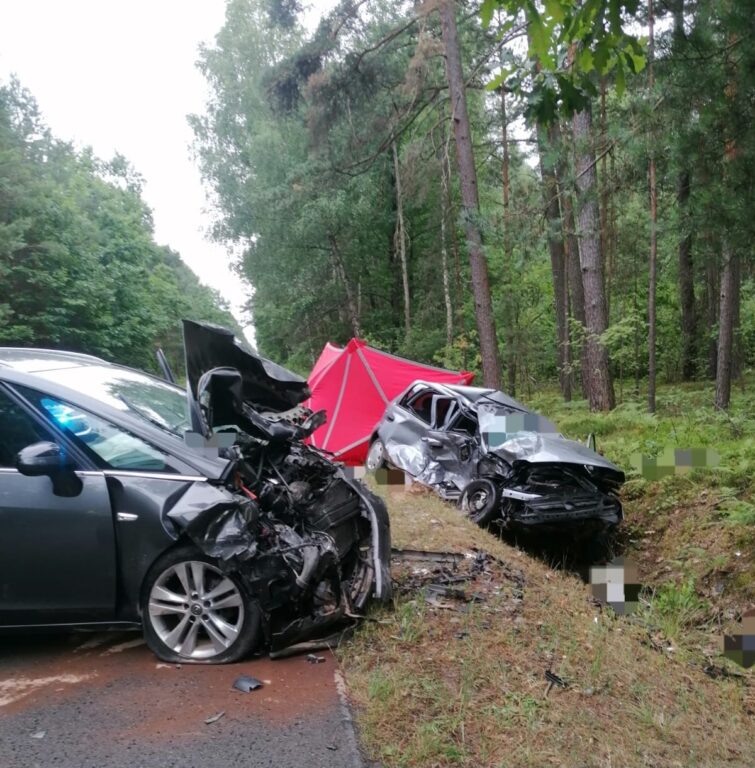 Śmiertelny wypadek w powiecie. Nie żyje kobieta - Zdjęcie główne