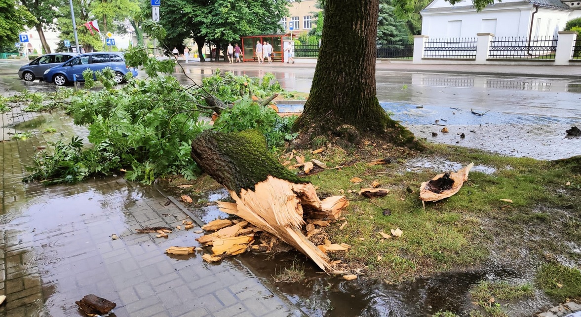 Nawałnica na Lubelszczyźnie. Są straty i interwencje - Zdjęcie główne