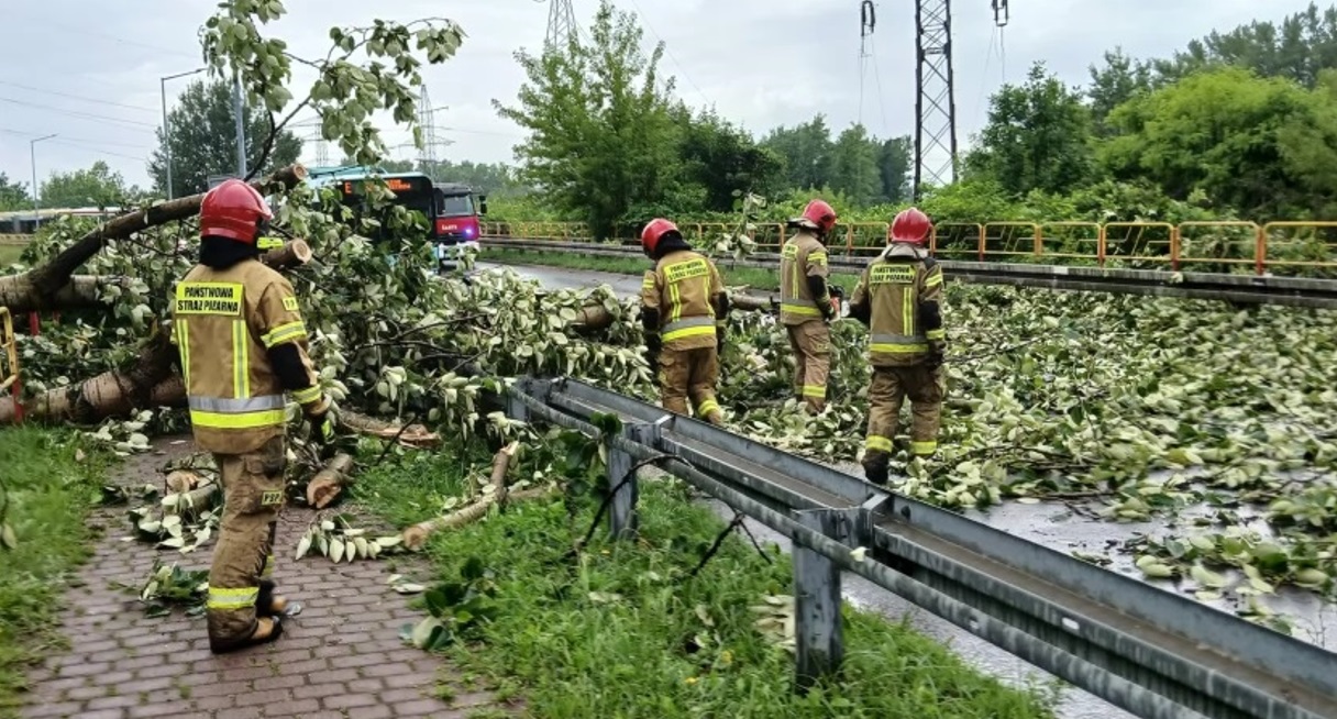 Połamane drzewa po wichurze w powiecie - Zdjęcie główne