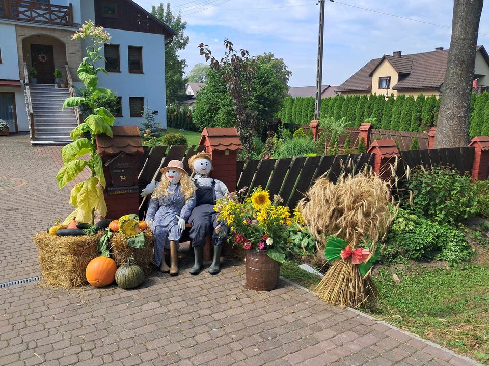 Co zrobili w Brzezinach?! Drugiej takiej wsi nie ma w powiecie (foto) - Zdjęcie główne