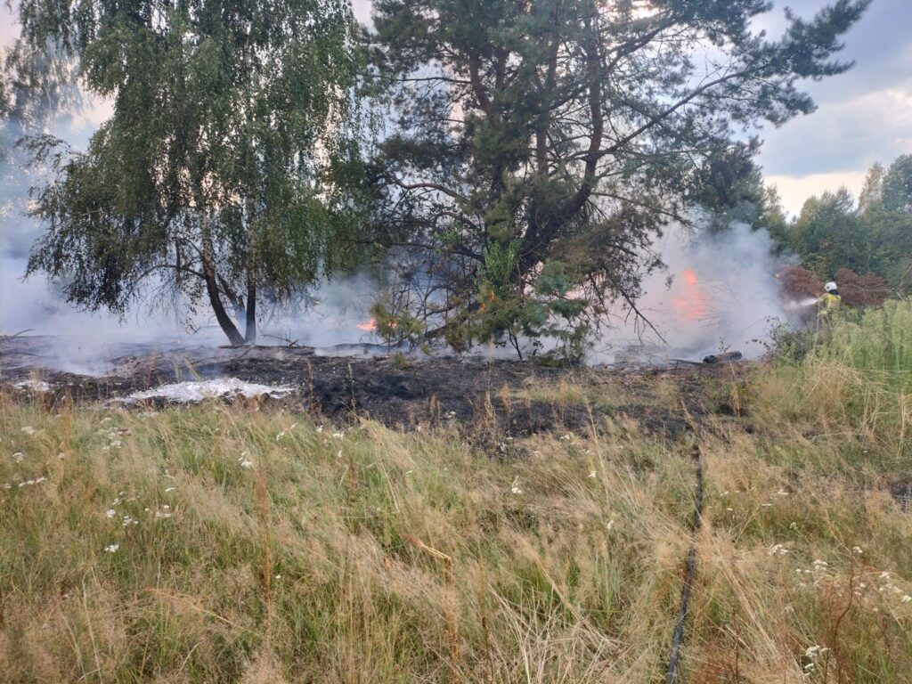 Nocny pożar w powiecie biłgorajskim - Zdjęcie główne