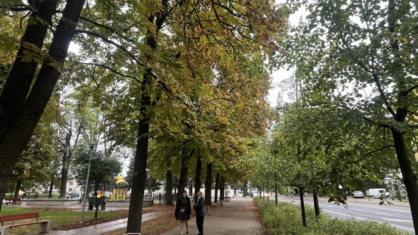 Po roku właśnie dotarła do Biłgoraja      (foto) - Zdjęcie główne