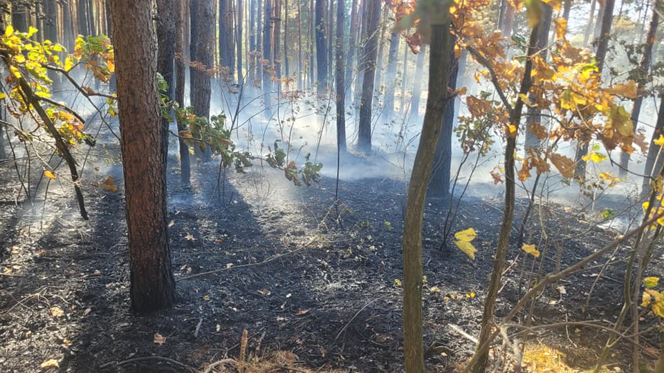 O włos od tragedii w powiecie biłgorajskim (foto) - Zdjęcie główne