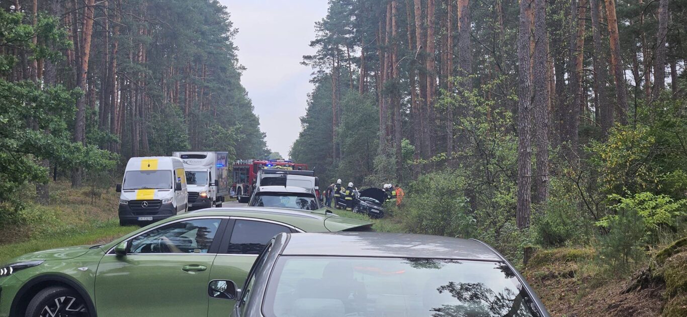 Drzewo spadło na samochód! Śmigłowiec LPR pilnie wezwany na miejsce (foto) - Zdjęcie główne