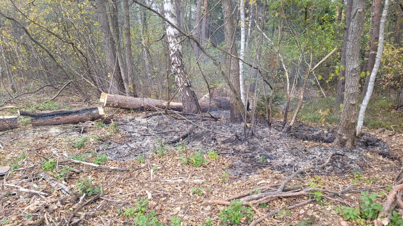 Niedzielny pożar w powiecie biłgorajskim - Zdjęcie główne