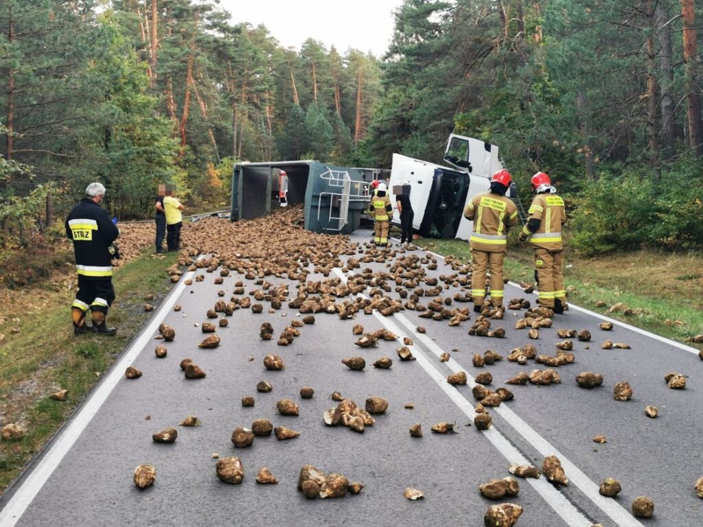 Kierowca z Tereszpola obsypał świat burakami (foto) - Zdjęcie główne