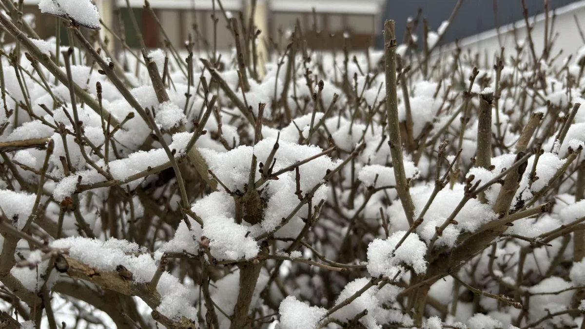 Alert IMGW dla województwa mazowieckiego. To już się zaczęło - Zdjęcie główne