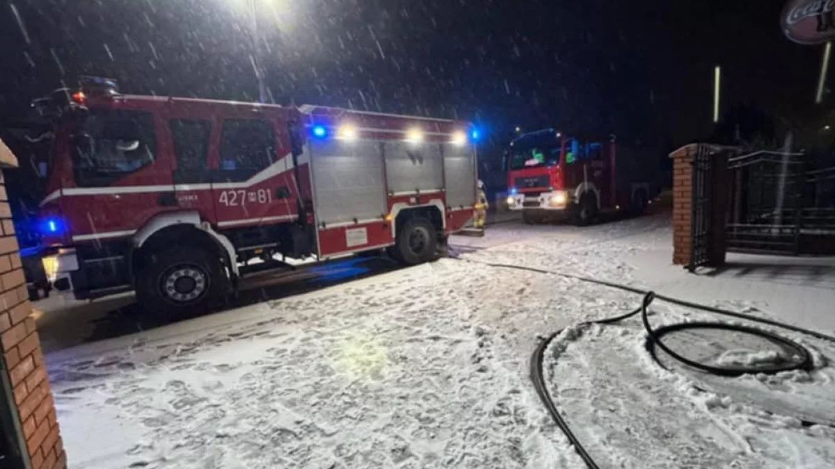 W Pilawie płonęły palety! Pożar wybuchł w środku nocy! - Zdjęcie główne