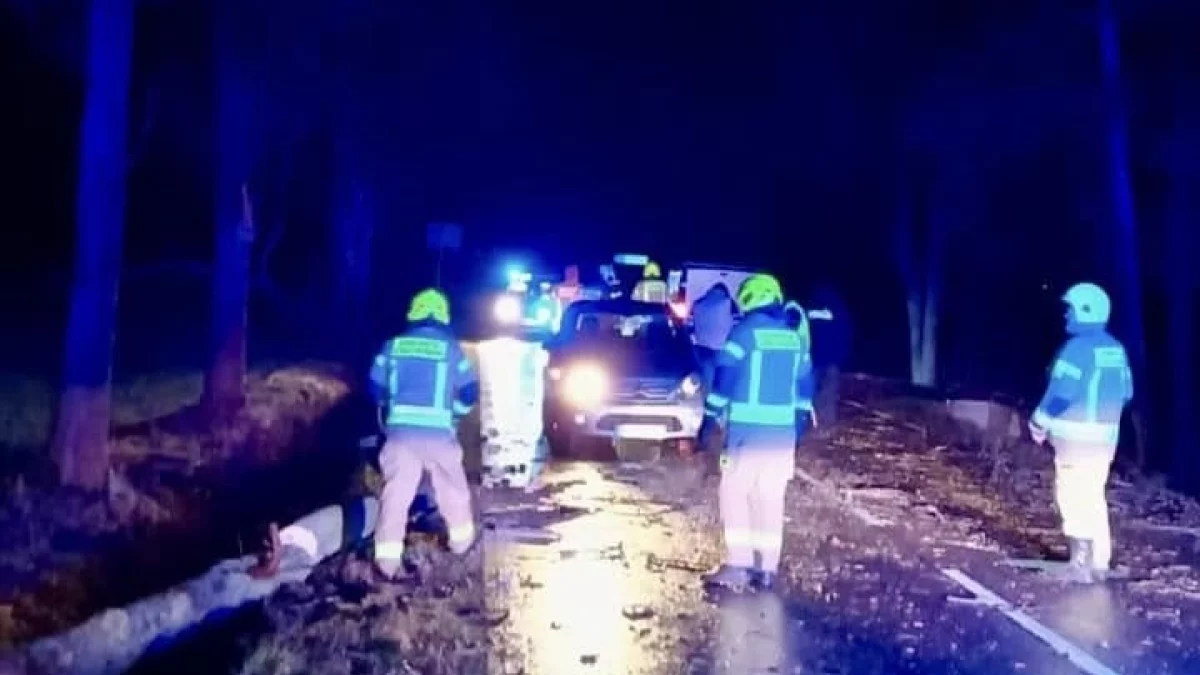 Dwa auta najechały na leżące na drodze drzewo - Zdjęcie główne