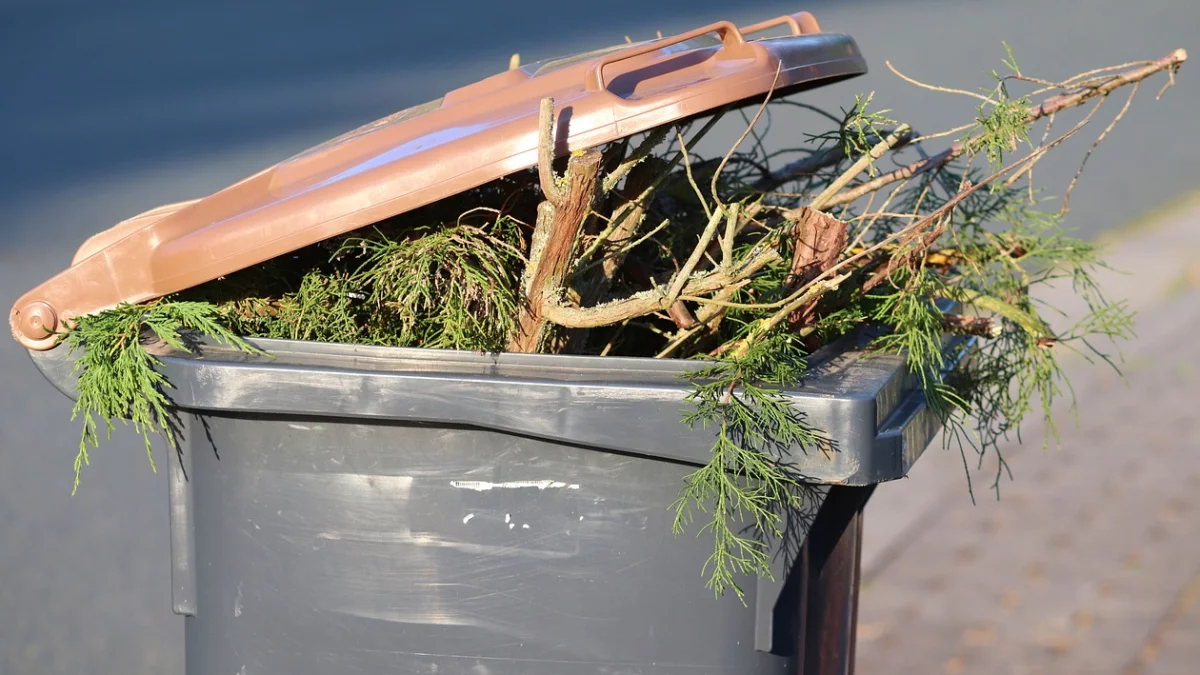 40% śmieci z gminy Żelechów trafiło do recyklingu - Zdjęcie główne