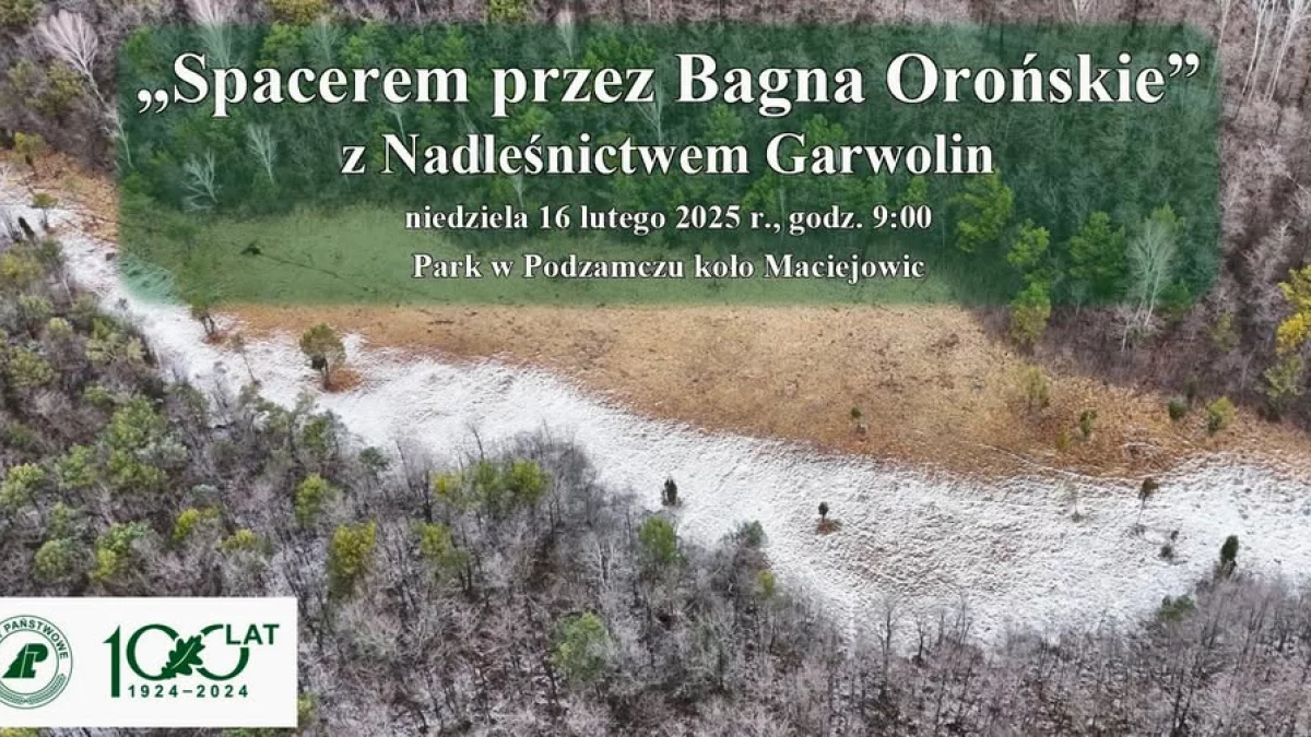 "Spacer przez Bagna Orońskie" z Nadleśnictwem Garwolin - Zdjęcie główne