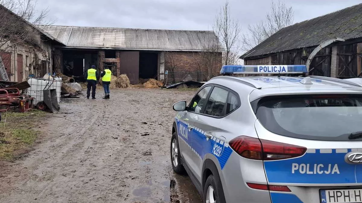 Wójt Gminy Borowie ogłasza zbiórkę na pogorzelców z Iwowego - Zdjęcie główne