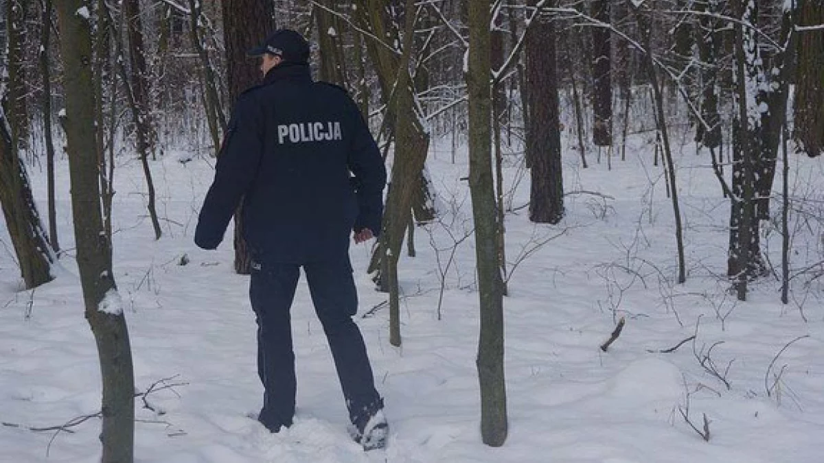 Policjanci odnaleźli w lesie wyziębionego mężczyznę - Zdjęcie główne