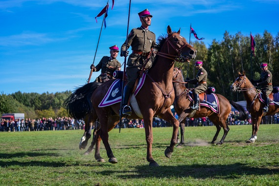7. Regionalne Święto Hodowców Koni 28-29 września 2019 - Zdjęcie główne