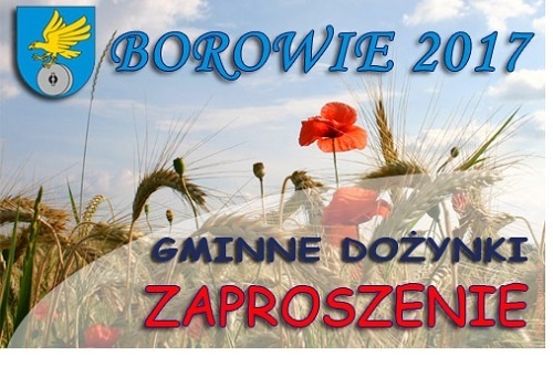 Dożynki w gminie Borowie - Zdjęcie główne