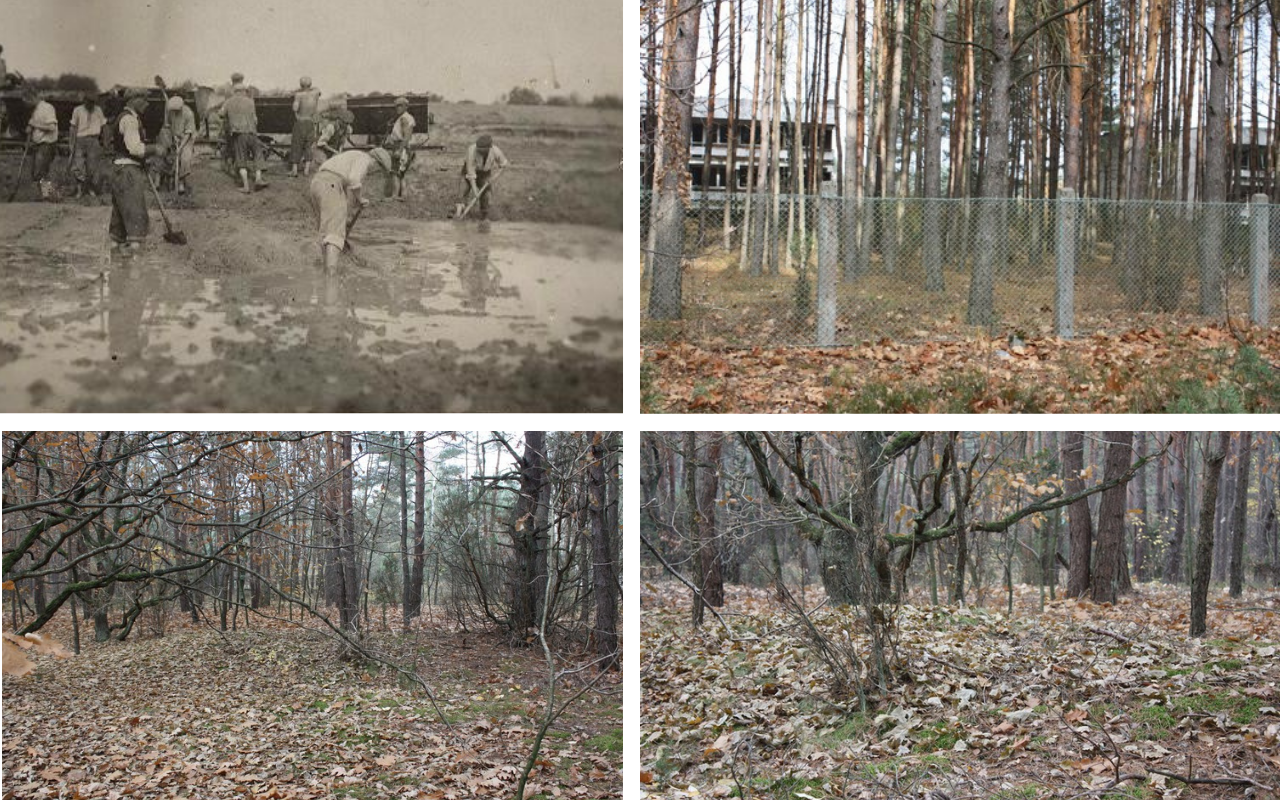 Pomóż fundacji odnaleźć zapomniane groby wojenne na terenie powiatu - Zdjęcie główne