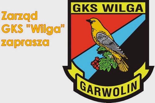 Spotkanie sprawozdawcze  GKS "Wilga" zaprasza - Zdjęcie główne