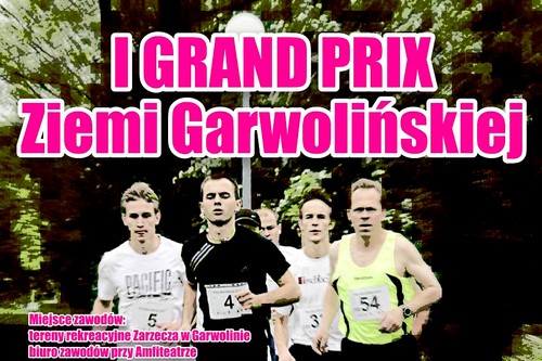 Drugi bieg Grand Prix Ziemi Garwolińskiej - Zdjęcie główne