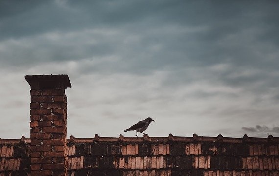 Od 1 lipca 2020 nie kupisz już miału do celów grzewczych - Zdjęcie główne