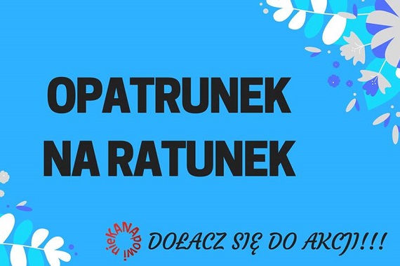 NieKANApowi biorąudział w kolejnej akcji Opatrunek na Ratunek - Zdjęcie główne